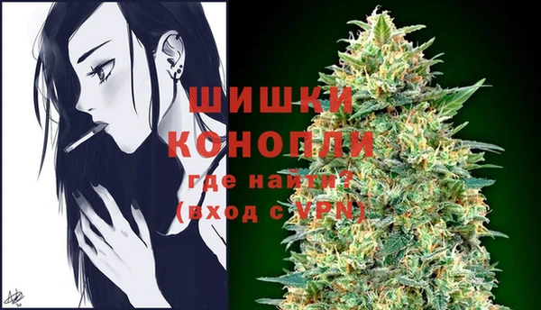 spice Беломорск