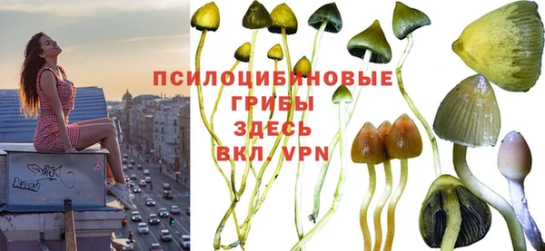 амфетамин Богородск