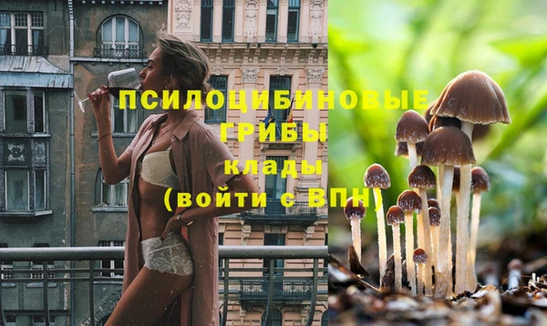 не бодяженный Бронницы