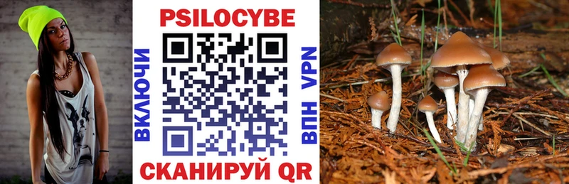 Псилоцибиновые грибы Cubensis  цены   Верея 
